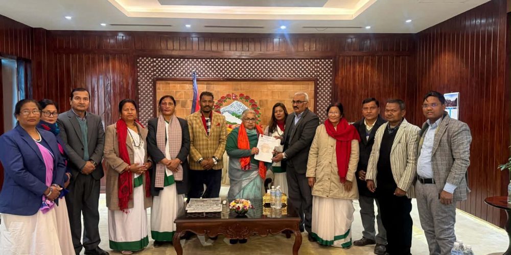 सबैको प्रतिनिधित्वबाट भएको विकास मात्र दिगो हुन्छ–प्रधानमन्त्री कार्की