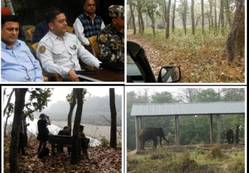 चितवनको पर्यटकीय क्षेत्रको घटगाई बेलशहर दुधौरा जिप सफारी शुरु