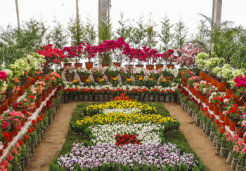 फ्लोरा एक्स्पोमा एक करोड २२ लाखको कारोबार