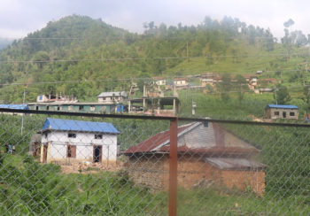 काभ्रेको खानीखोलामा व्यावसायिक बन्दै कफी खेती