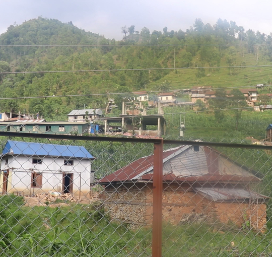 काभ्रेको खानीखोलामा व्यावसायिक बन्दै कफी खेती