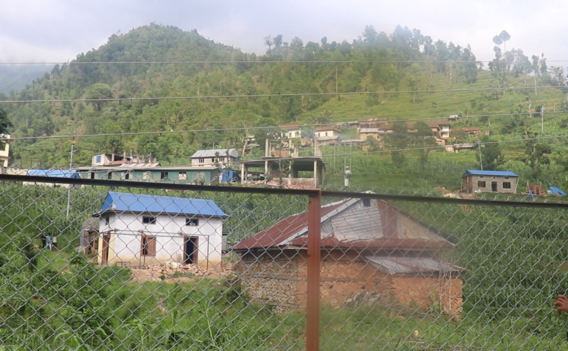 काभ्रेको खानीखोलामा व्यावसायिक बन्दै कफी खेती