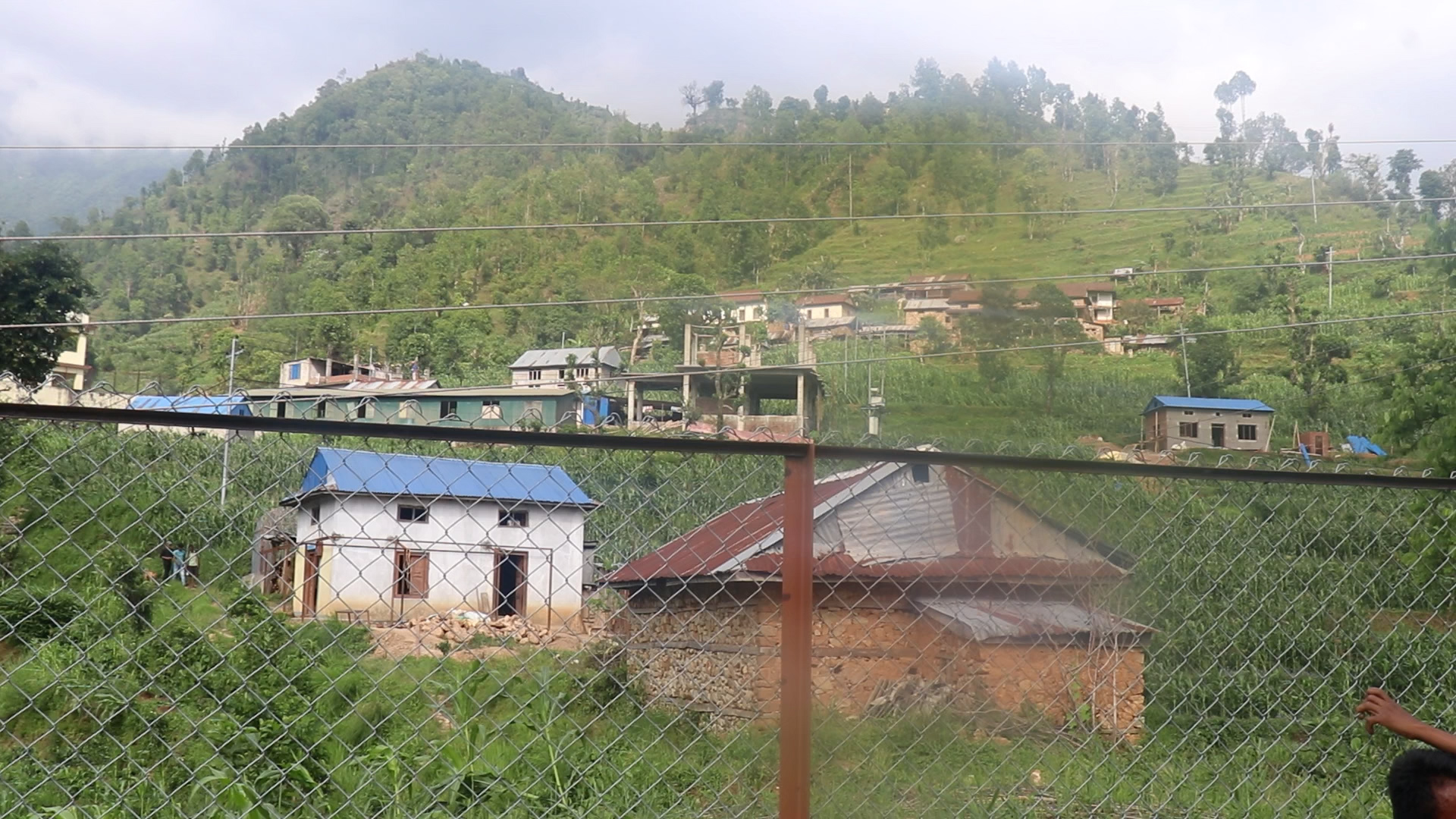 काभ्रेको खानीखोलामा व्यावसायिक बन्दै कफी खेती